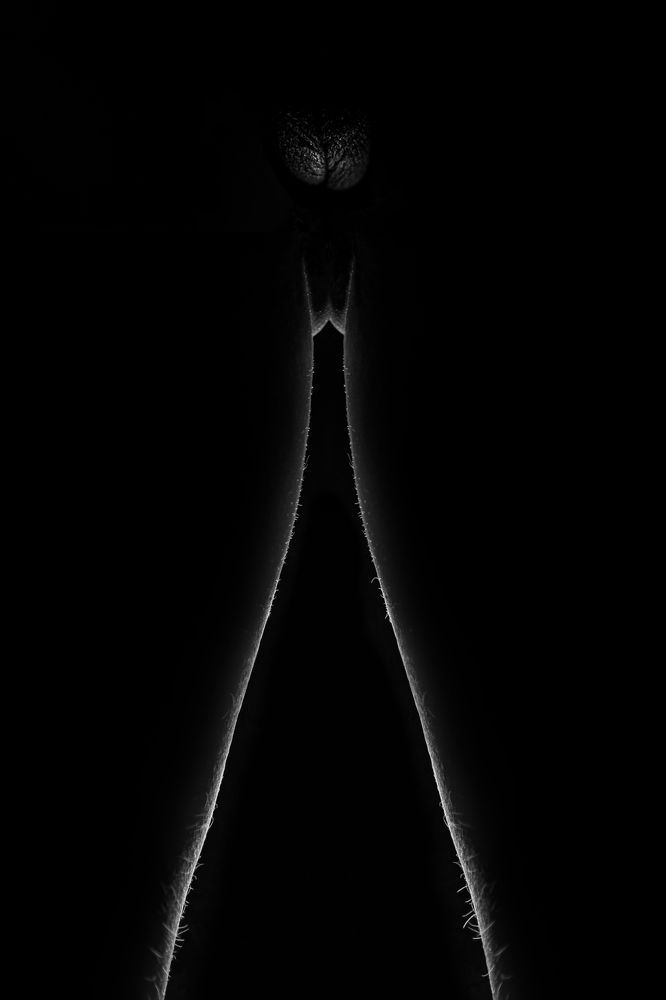 Фотография автора Александр Леонтьев