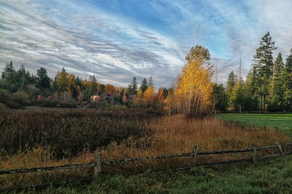 Photograph by Lavlad L