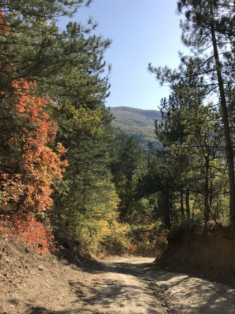 Photograph by Светлана Фесенко