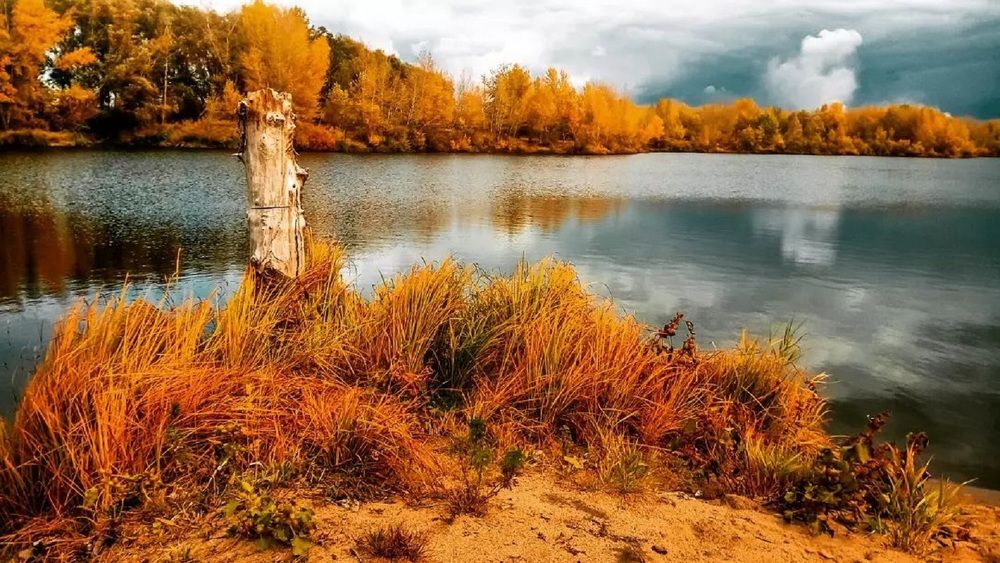 Осень за городом