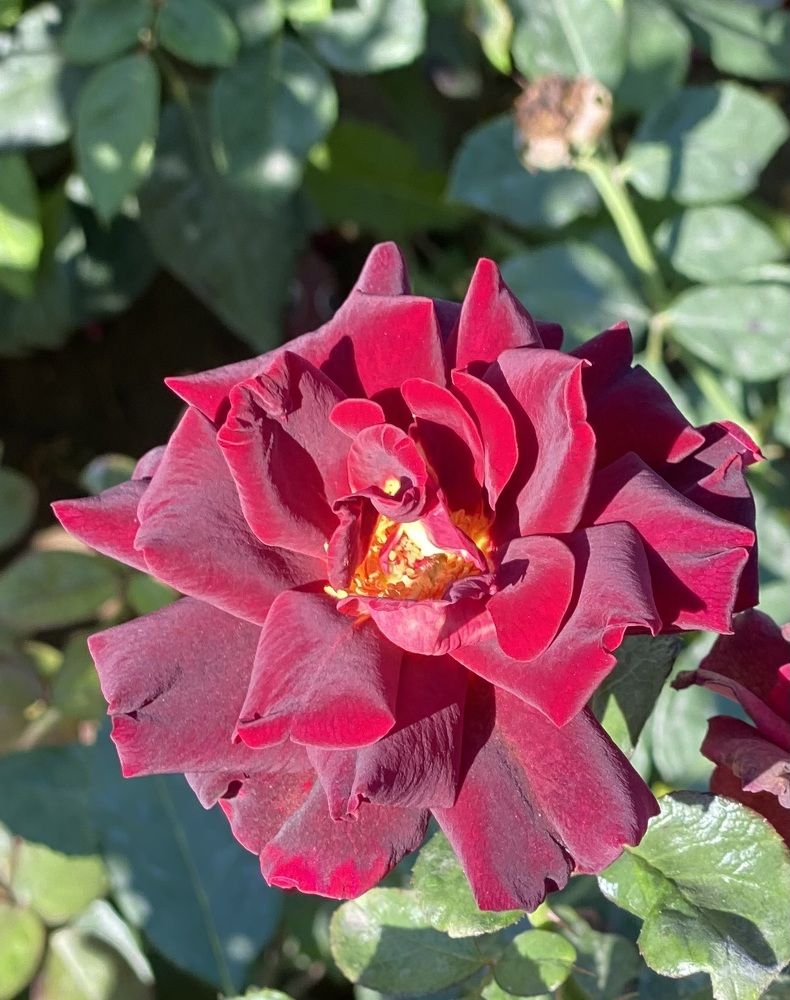 Photograph by Светлана Фесенко