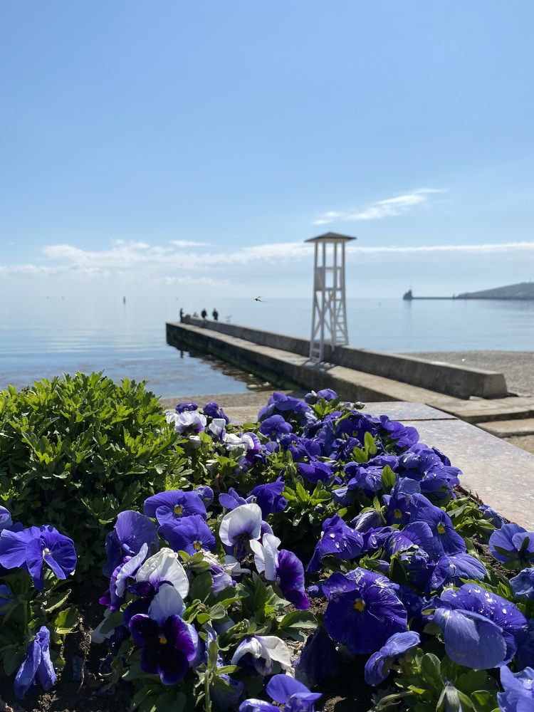 Photograph by Светлана Фесенко