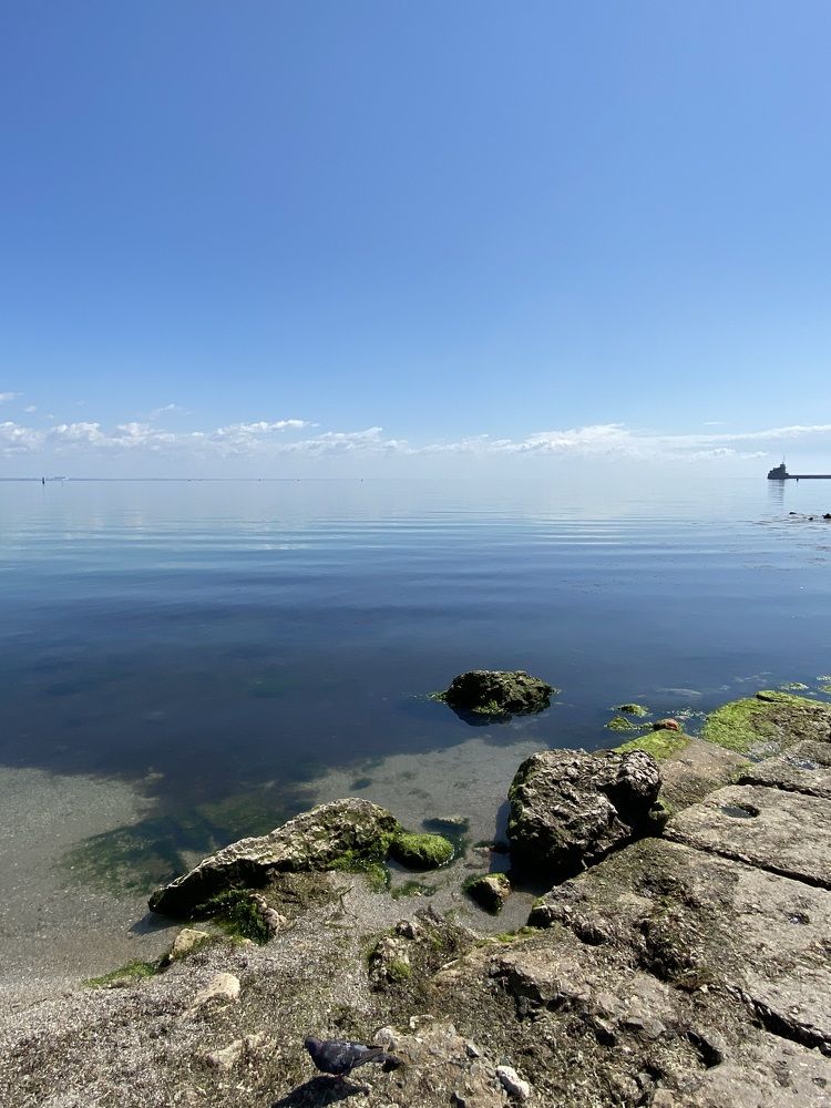 Photograph by Светлана Фесенко