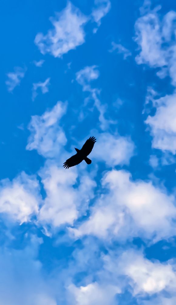 Photograph by Александра Якуцевич