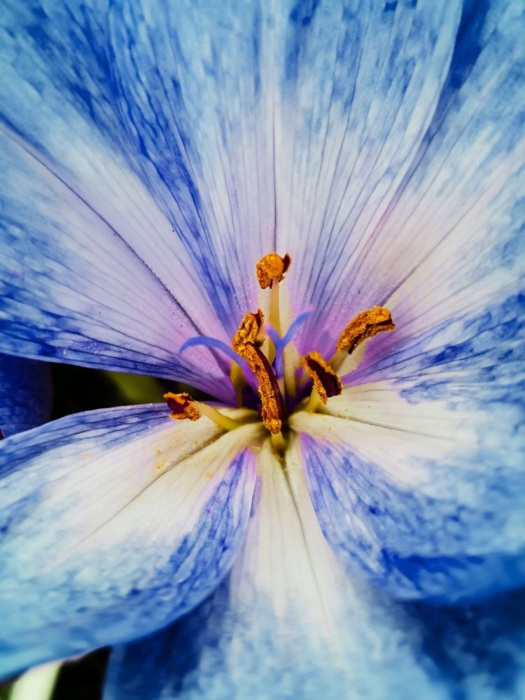 Photograph by Александра Якуцевич