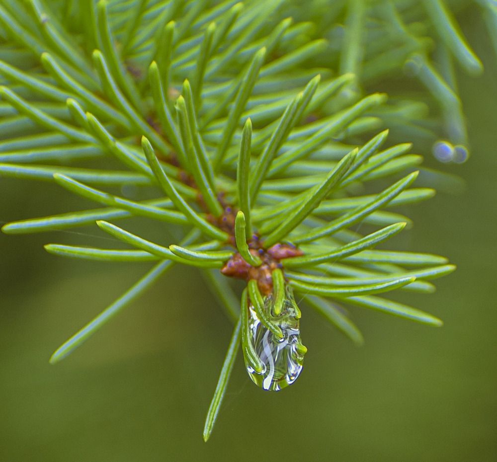 Капля дождя