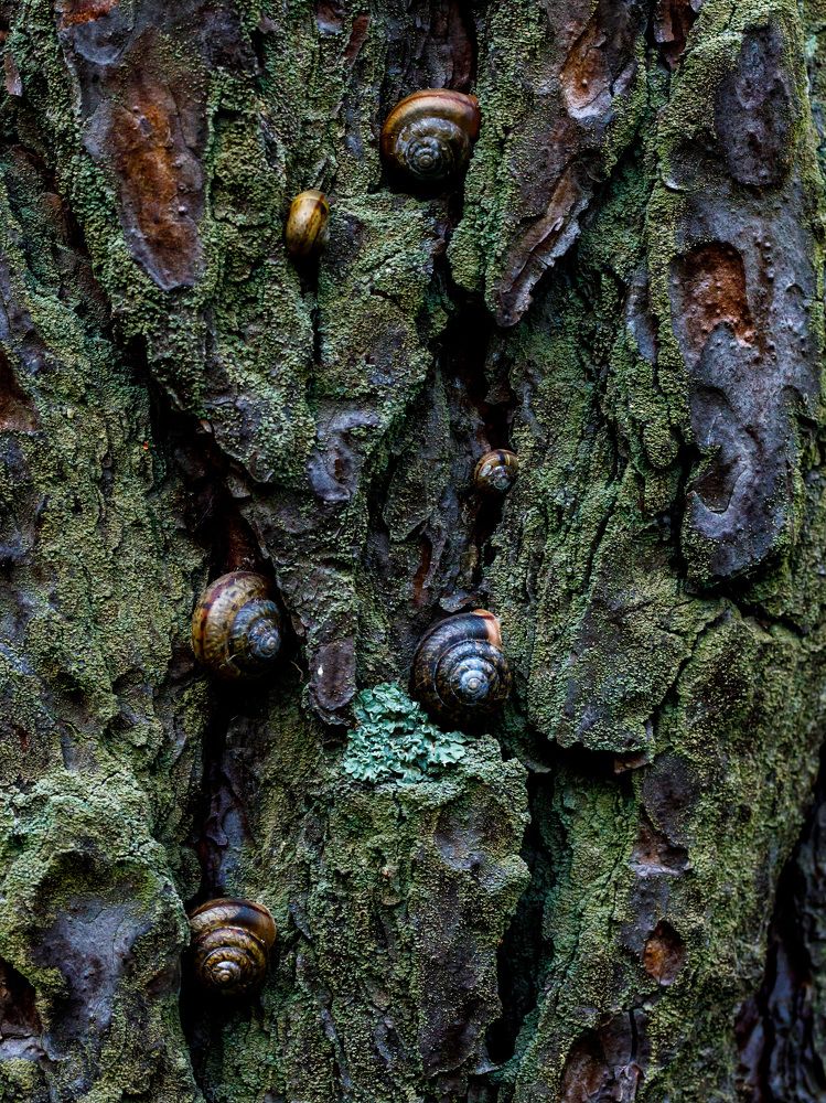 Photograph by Людмила Аксенова