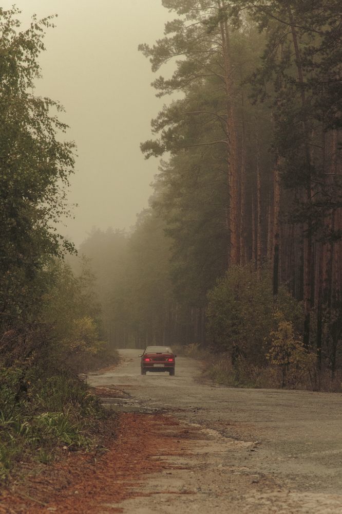 Photograph by Ангелина Карелина