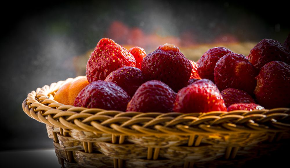 Photograph by Alex Kalpus