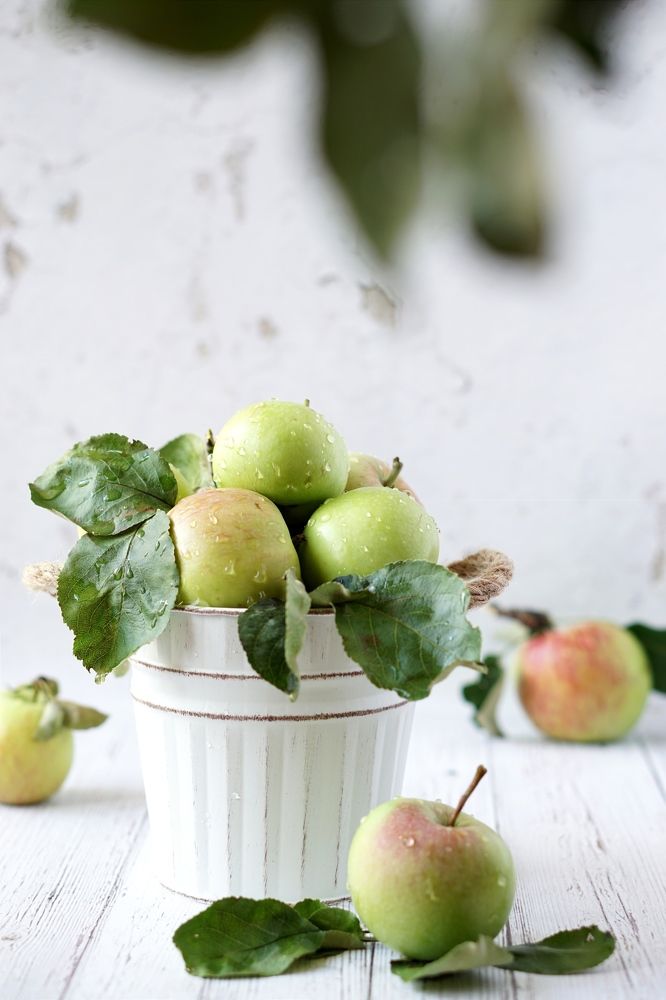 Photograph by Ольга