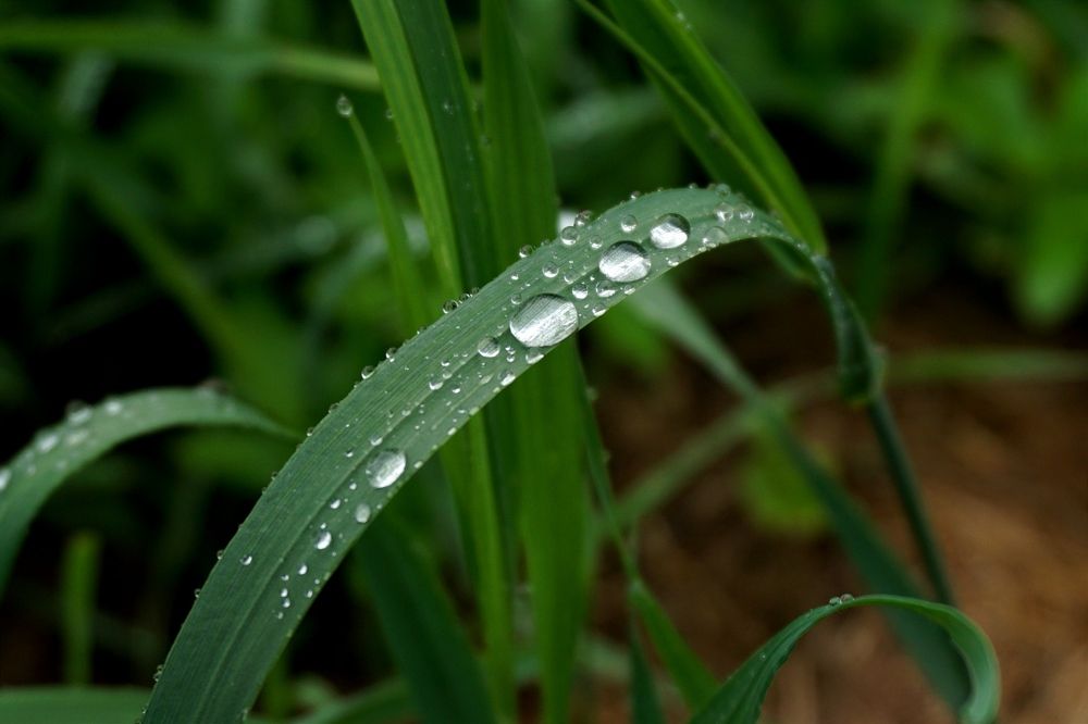 Photograph by Ольга