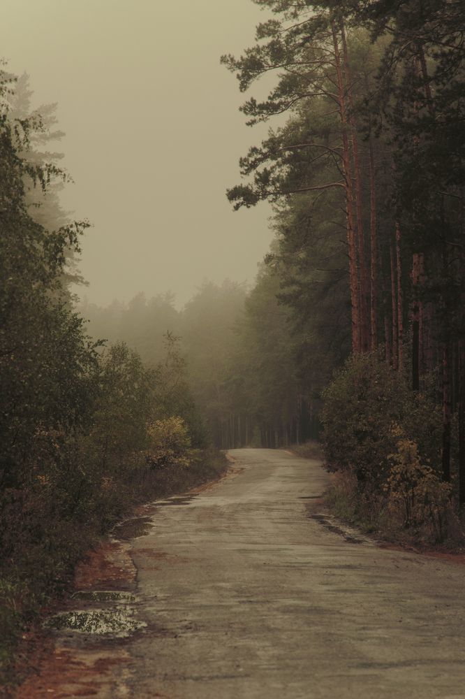 Photograph by Ангелина Карелина