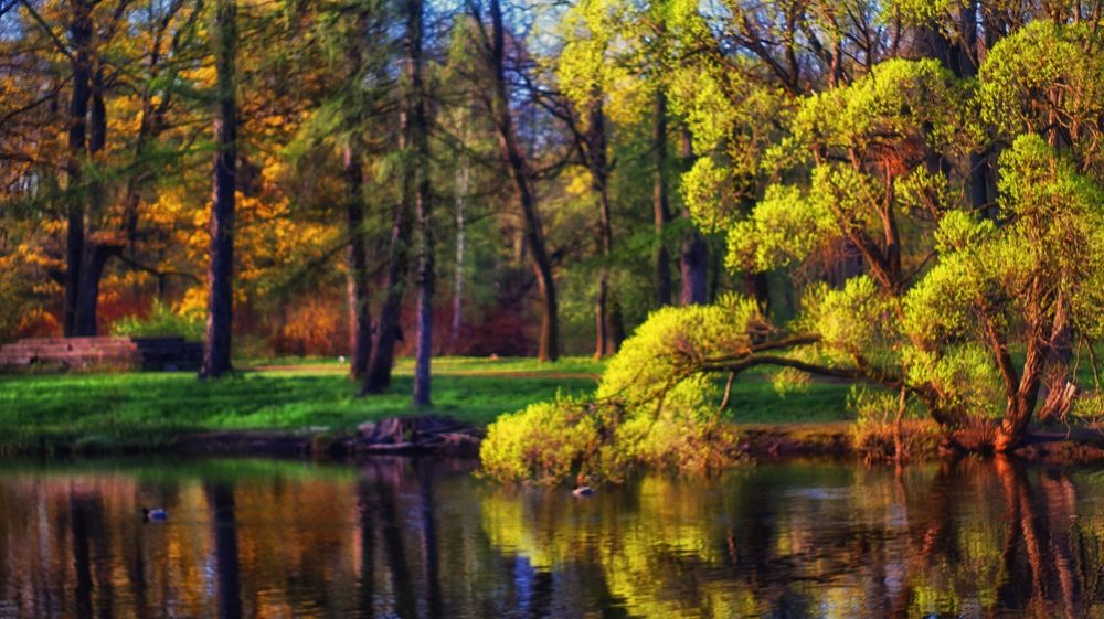 Фотография автора Юрий Цыркунов