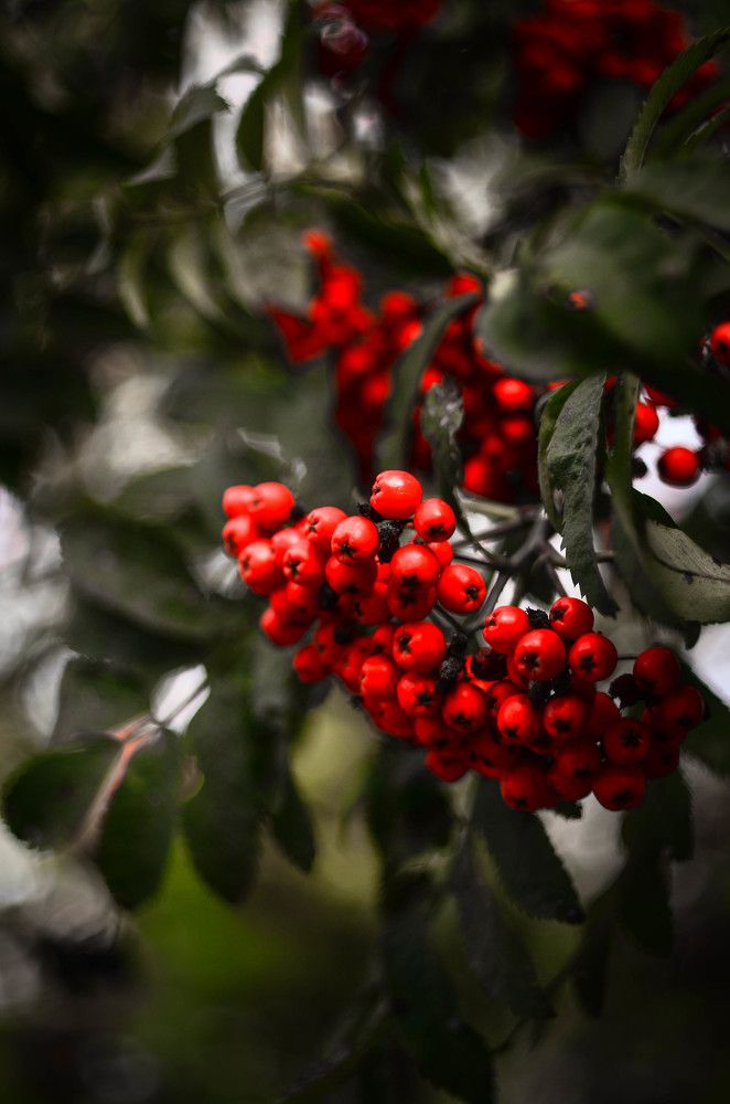 Photograph by Аряева Анна