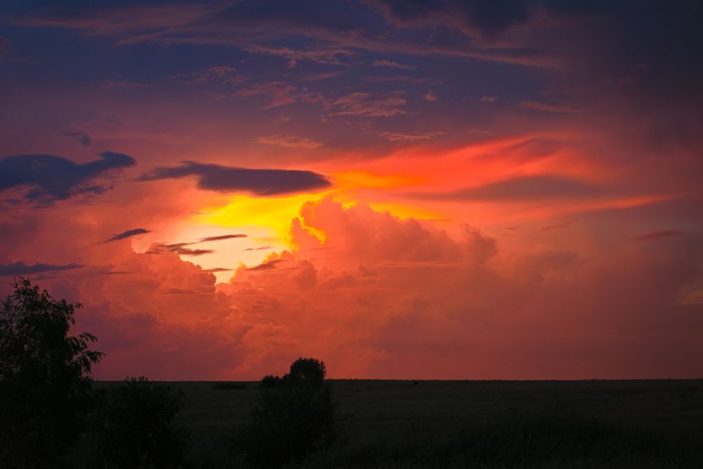 Photograph by Viktoria Vavilkina