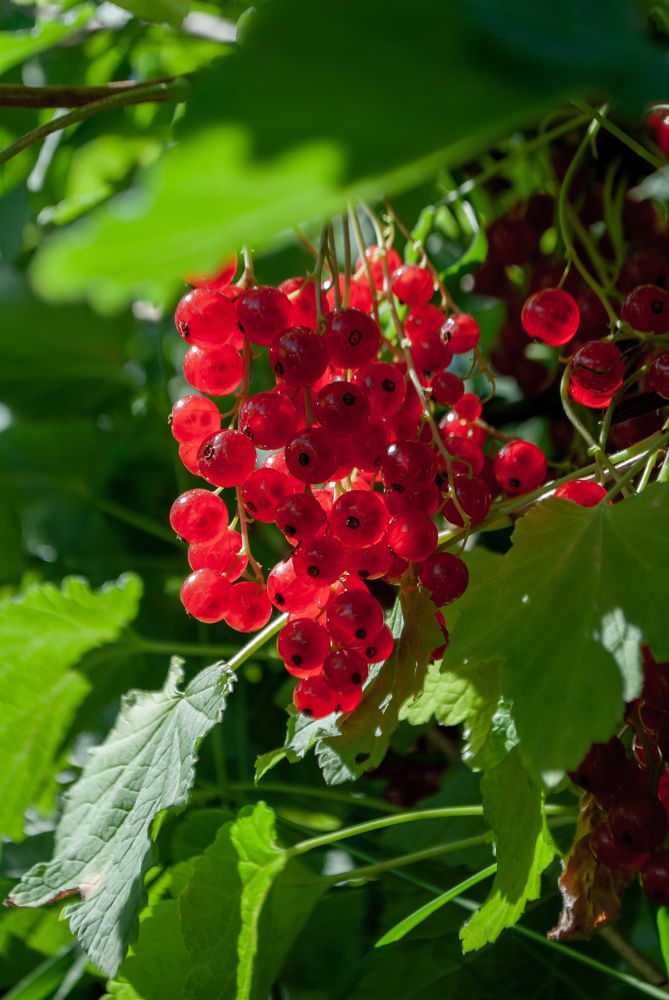 Photograph by Татьяна Лебедева