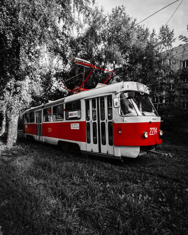 Фотография автора олег романов