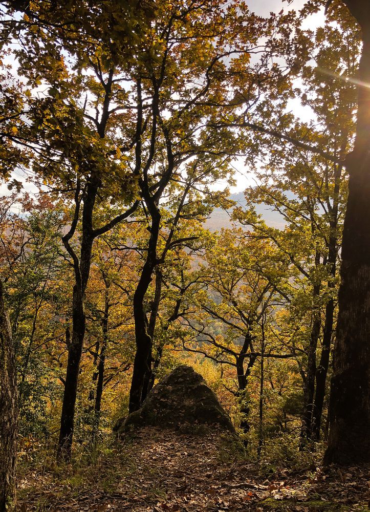 Photograph by Надежда