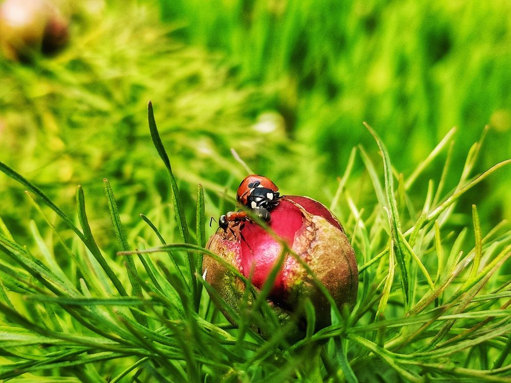 Photograph by Екатерина Якушева