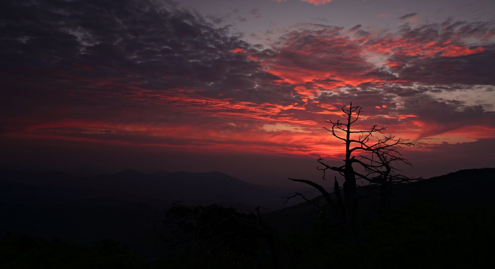 Photograph by Myunggyu Bae