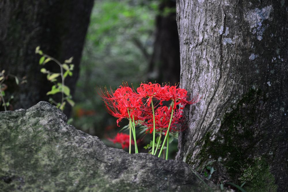 Photograph by Myunggyu Bae