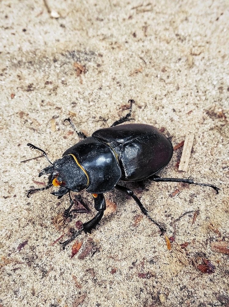 Photograph by Марина Шамич