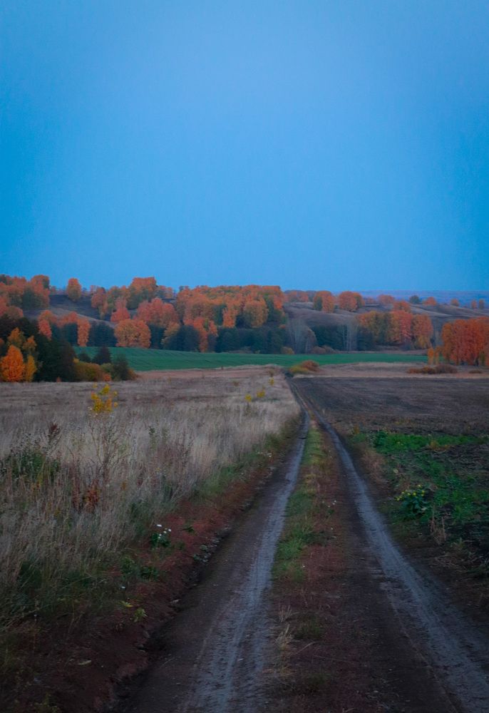 Картина осени