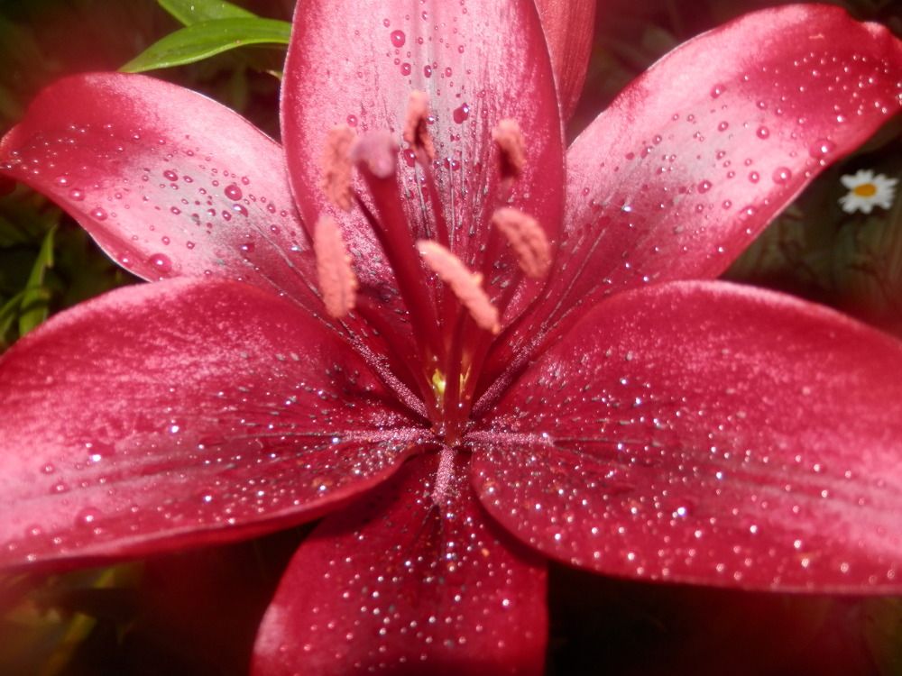 Photograph by Георгий Салюков