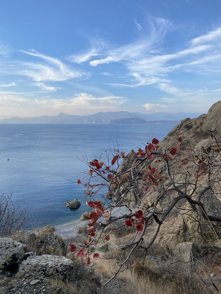 Photograph by Светлана Фесенко