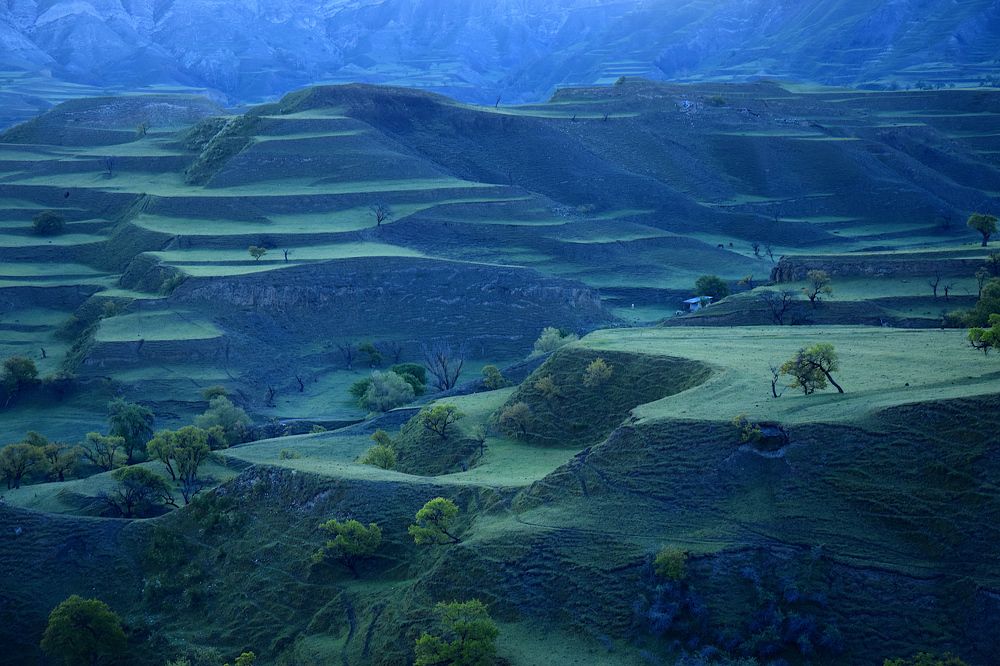 Photograph by Margo Margo