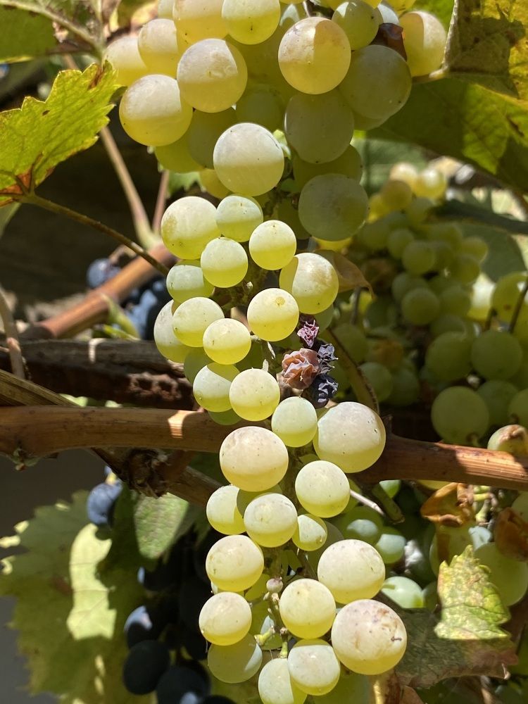 Photograph by Светлана Фесенко