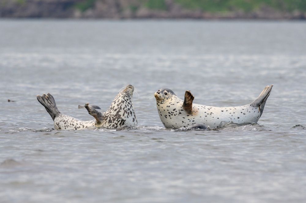 Photograph by Андрей Захаров