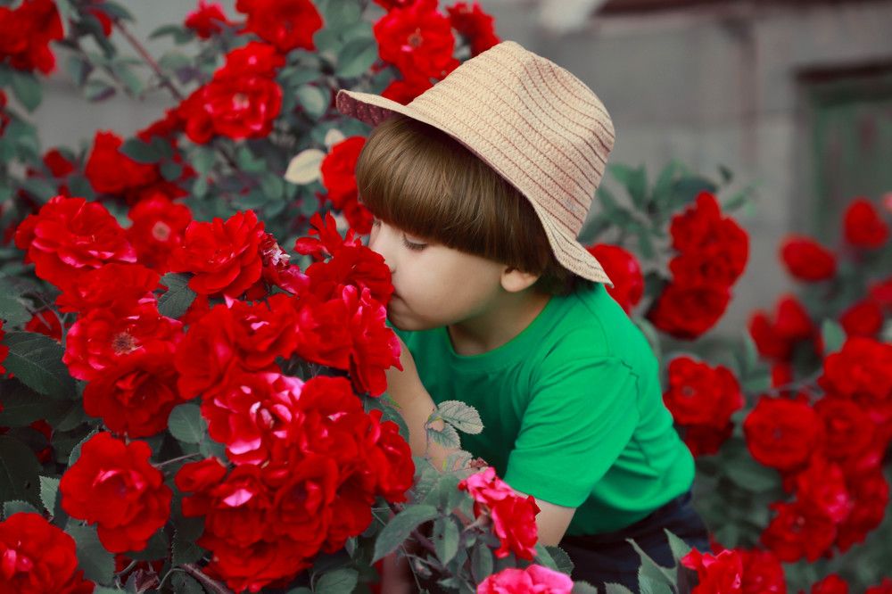 Photograph by Елена Сиднина