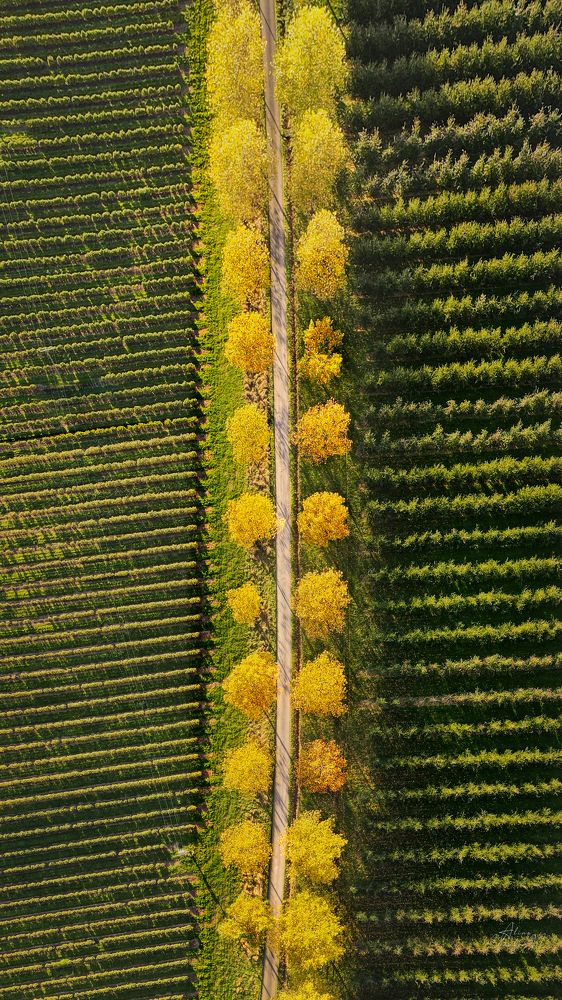 Photograph by Yantsen Alina