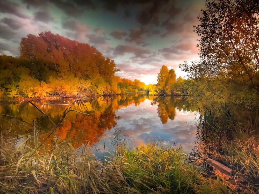 Photograph by Разумов Александр