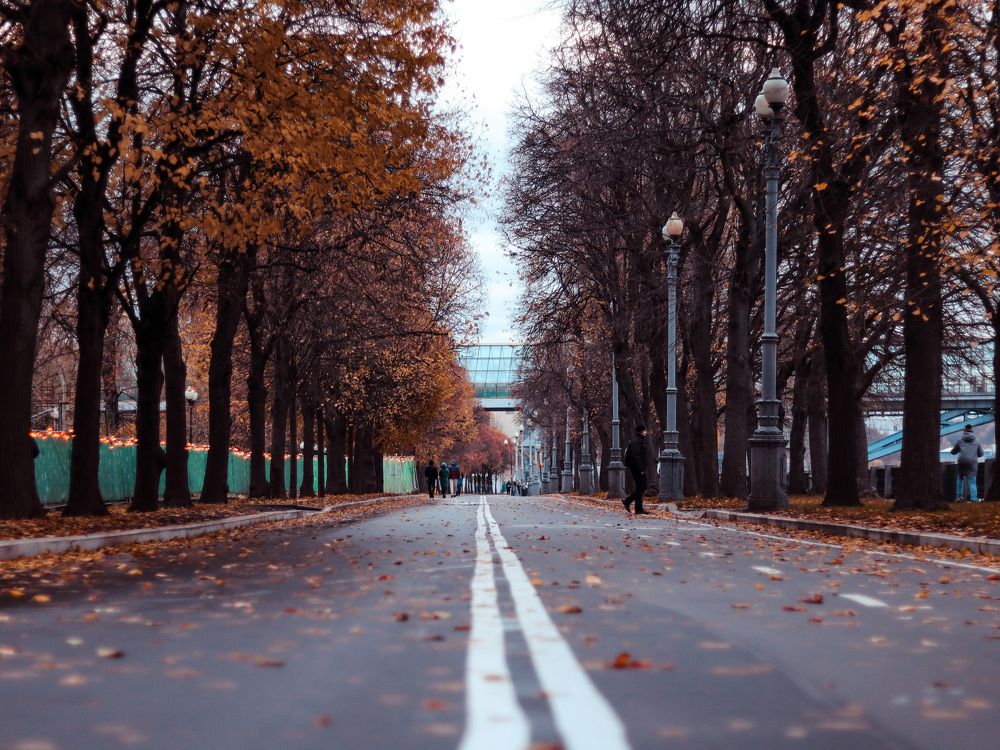 Photograph by Лия Маликова