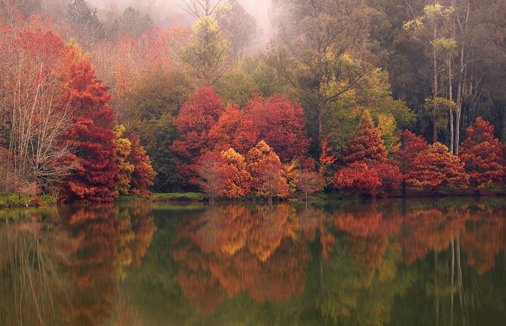 Photograph by Valdir Hobus