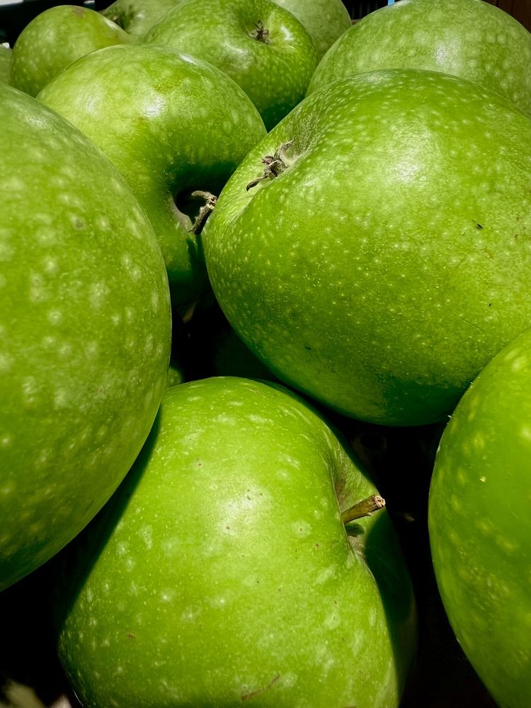 Photograph by Павел Панкратов