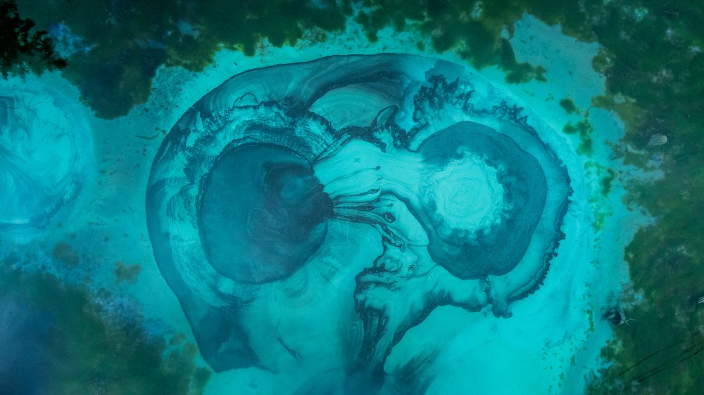 Фотография автора Андрей Пожарский