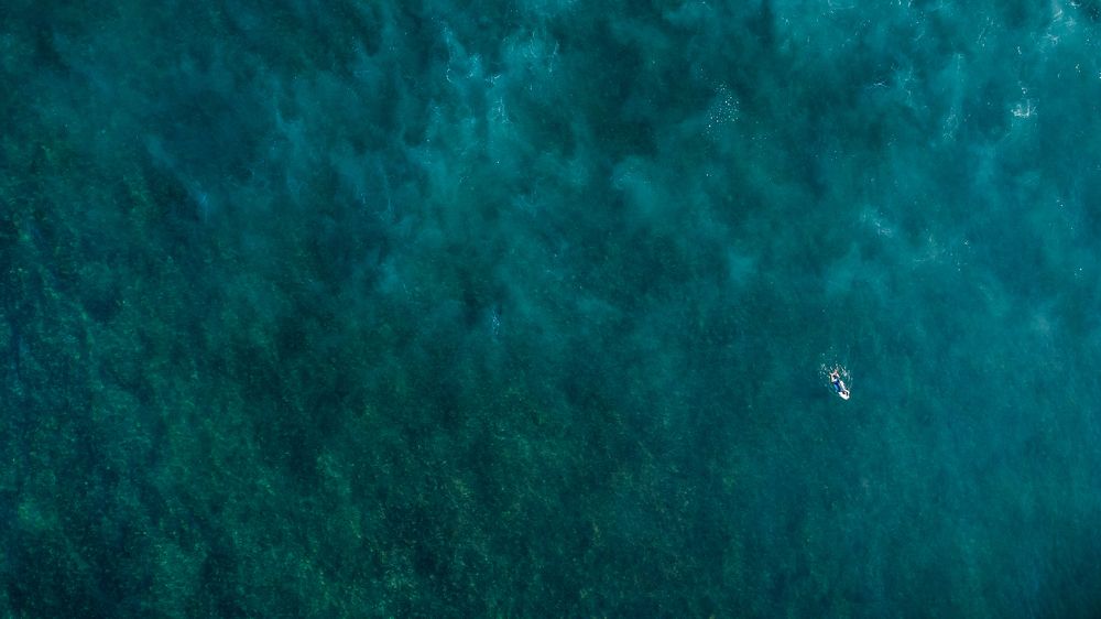 Фотография автора Андрей Пожарский