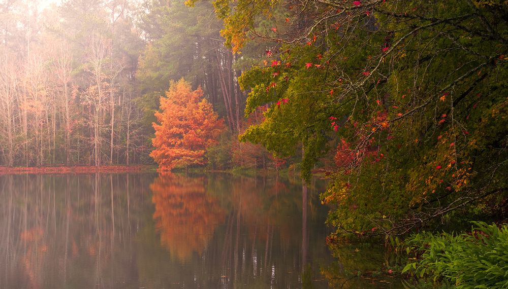 Photograph by Valdir Hobus