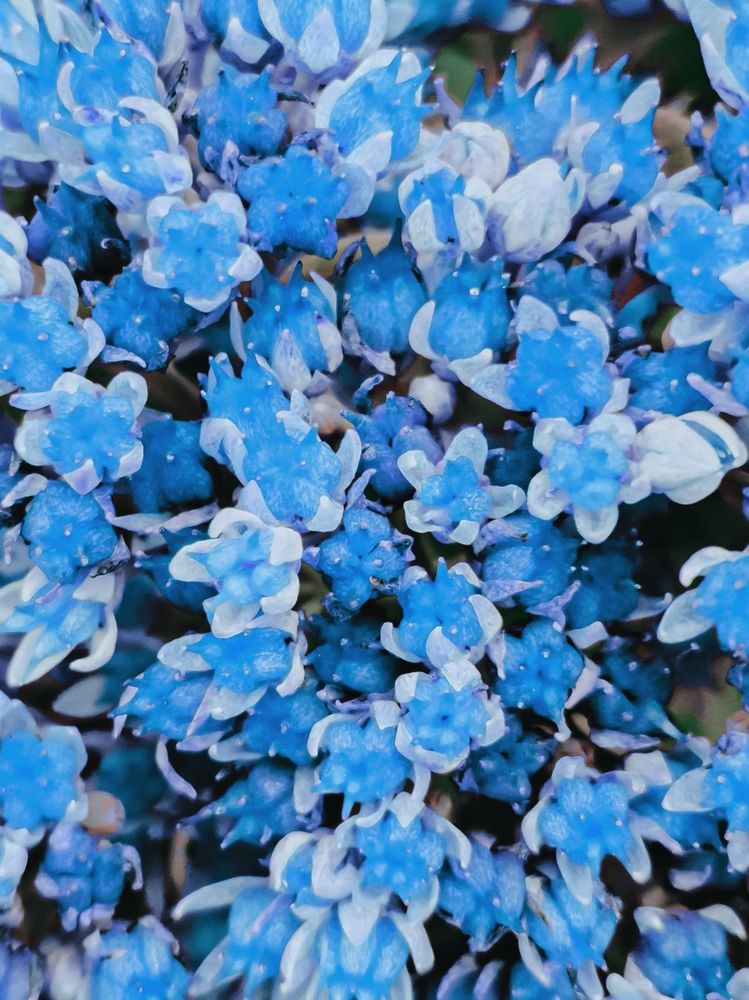 Photograph by Александра Якуцевич