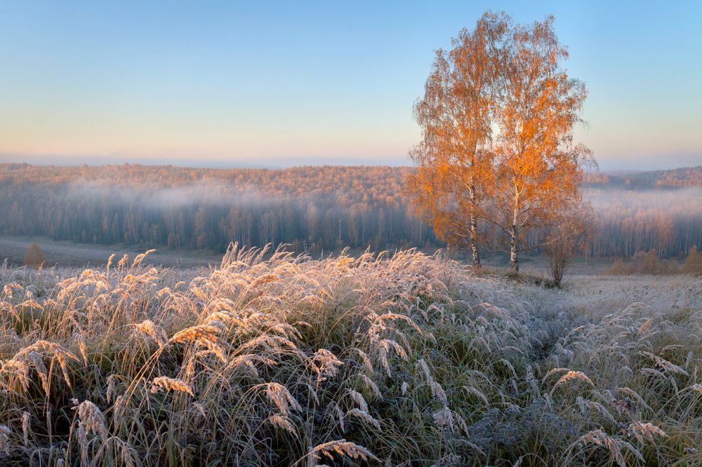 Photograph by Сергей Буторин