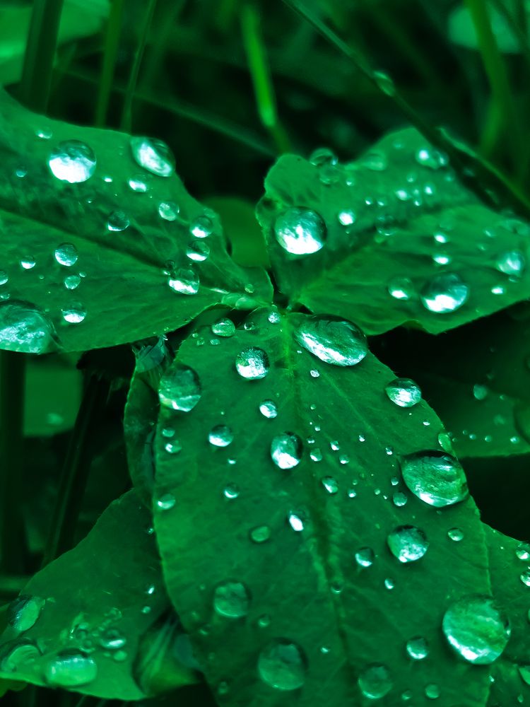 Photograph by Александра Якуцевич