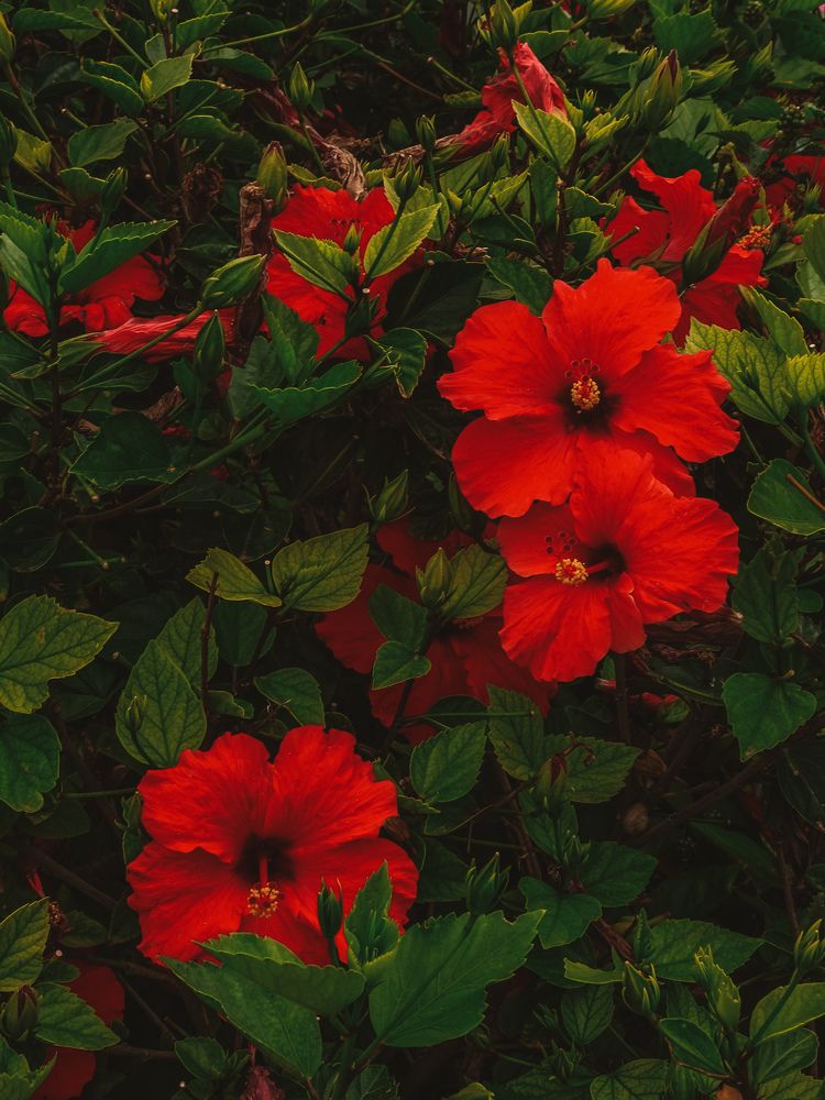 Photograph by Арина Стрябчева