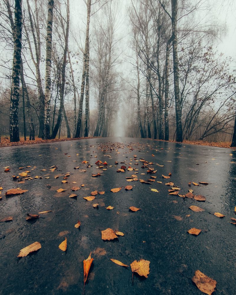 Photograph by Ранчинский Дмитрий