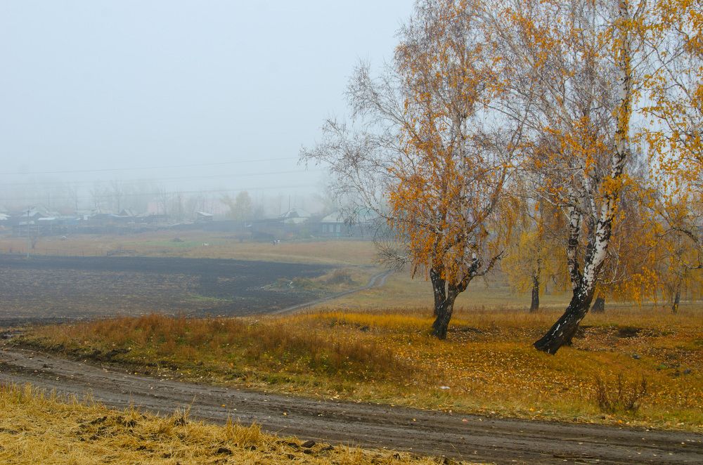 Photograph by Юрий Самойлов