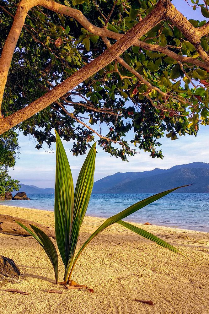 Photograph by Игорь Окунев