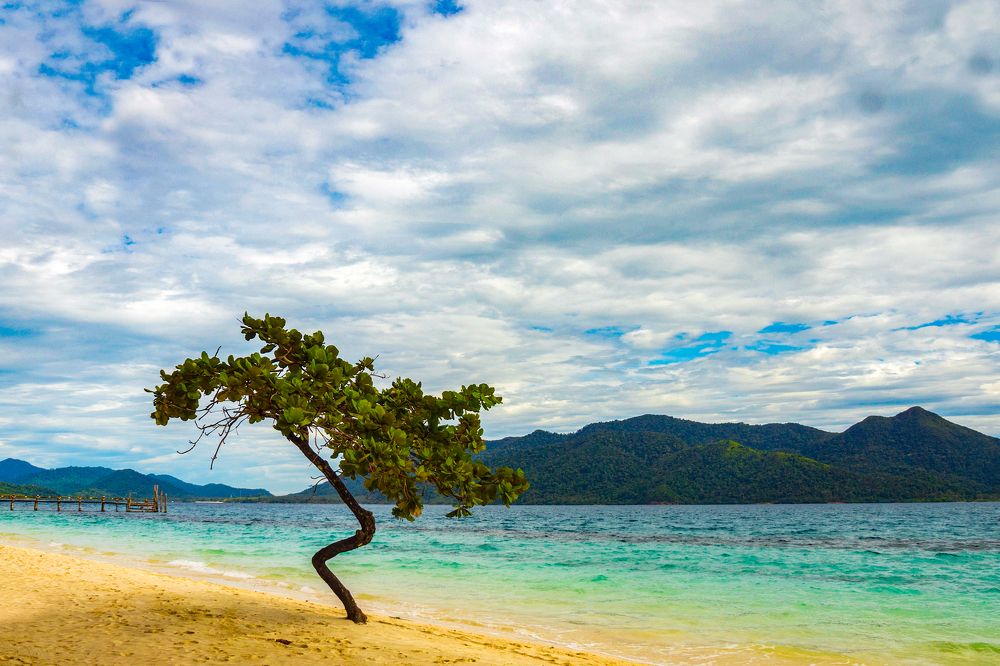 Photograph by Игорь Окунев