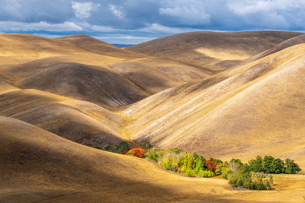 Photograph by Алёна Ивочкина